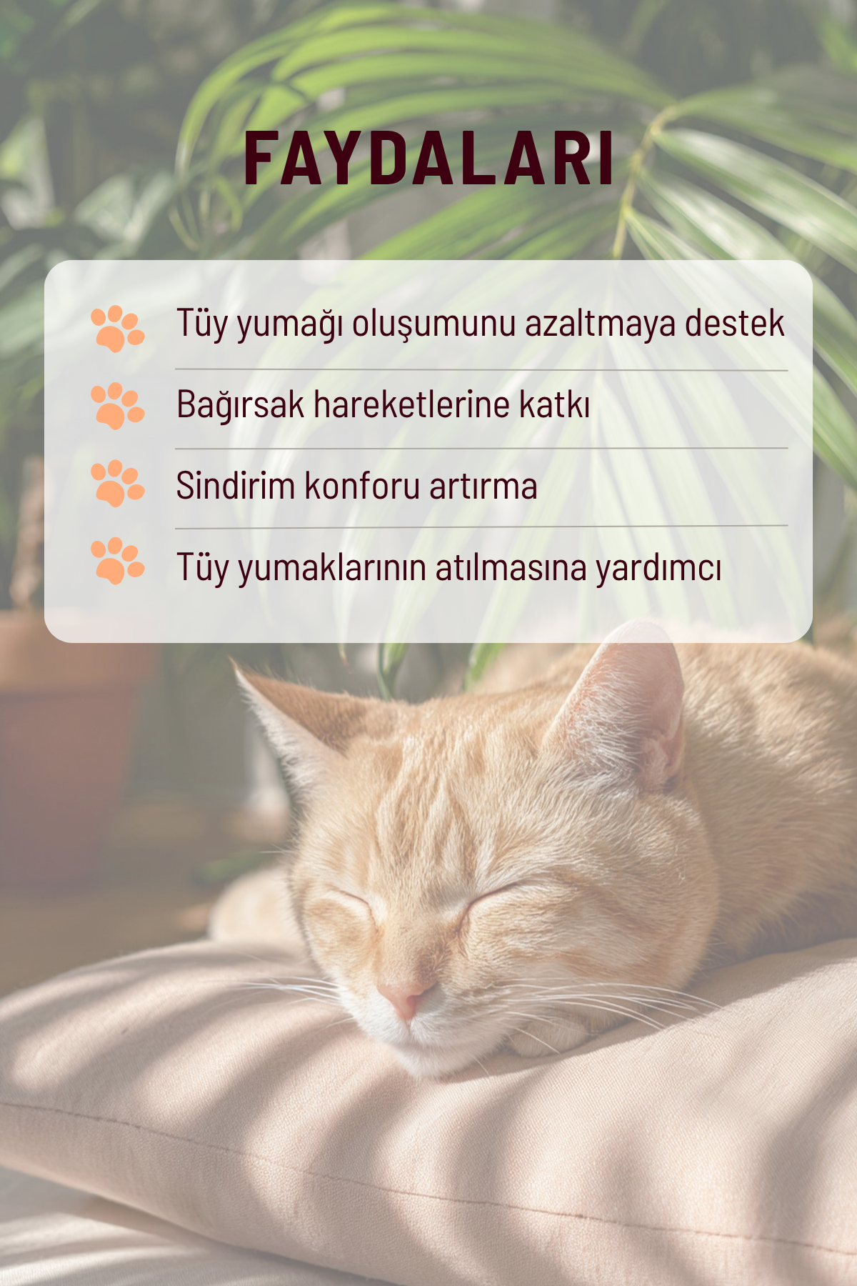 Kediler İçin Tüy Dökülmesi Karşıtı Set | Damla + Malt Macun Sindirim Destekleyici & Tüy Güçlendirici Bakım Seti