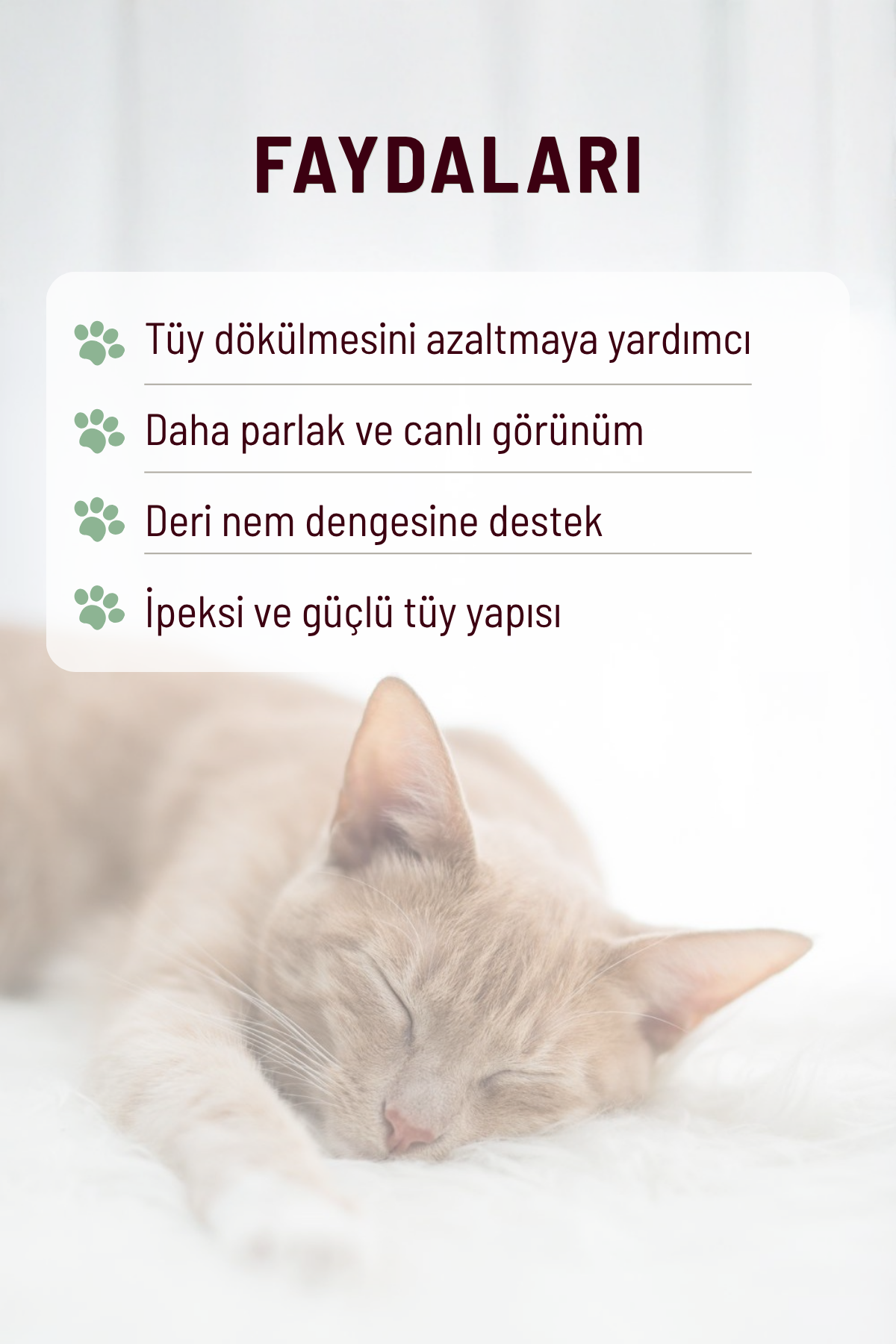 Kediler İçin Tüy Dökülmesi Karşıtı Set | Damla + Malt Macun Sindirim Destekleyici & Tüy Güçlendirici Bakım Seti