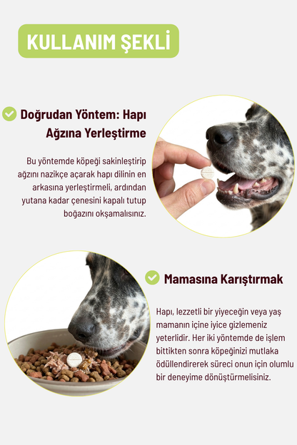Köpekler İçin Tüy ve Deri Güçlendirici Set | Tablet + Omega Drop