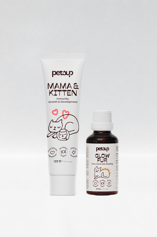 Yavru ve Anne Kediler İçin Multivitamin Set | Bağışıklık ve Gelişim Destekleyici