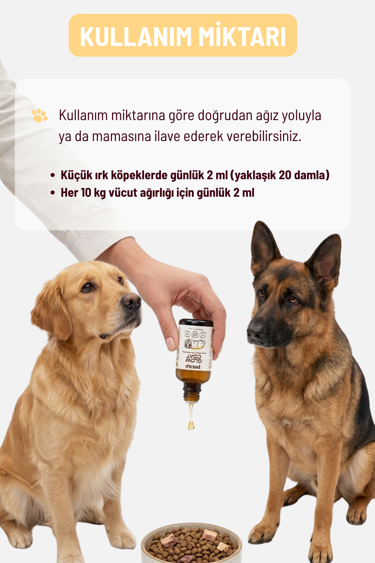 Köpekler İçin Omega Balık Yağı Seti | Tüy, Deri ve Bağışıklık Destekleyici