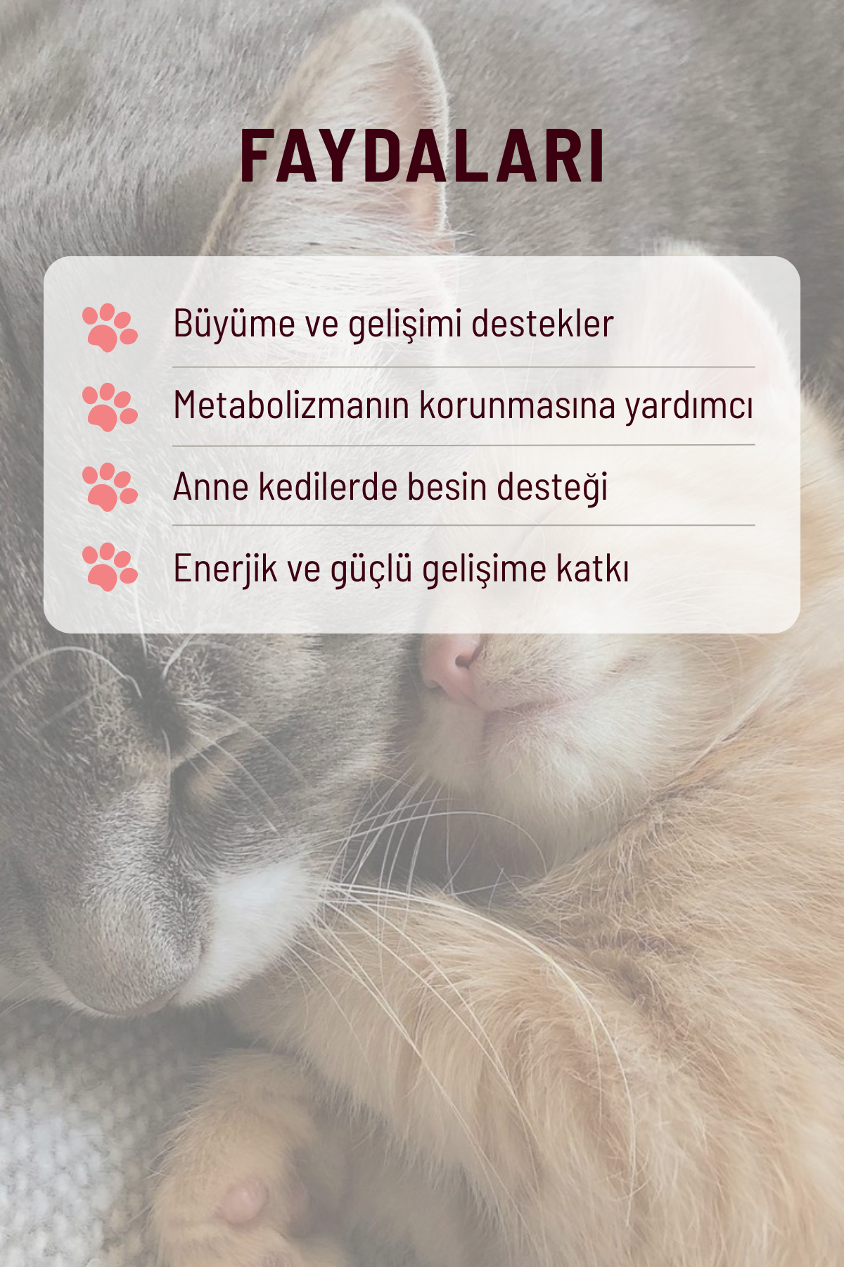 Kitten & Mama - Bağışıklık ve Gelişim Destekleyici Kediler İçin Multivitaminli Malt Macun