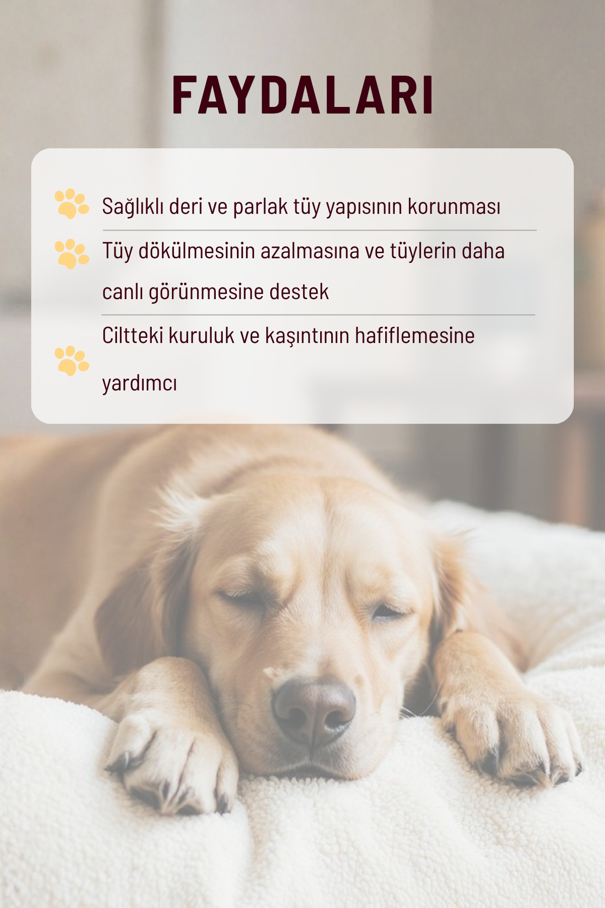 Köpekler İçin Tüy ve Deri Güçlendirici Set | Tablet + Tüy Bakım Destekleyici + Omega Drop