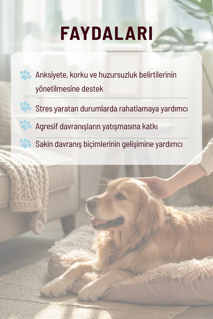 Chill Tail - Sakinleştirmeye ve Stres Azaltmaya Yardımcı Köpekler İçin Tablet