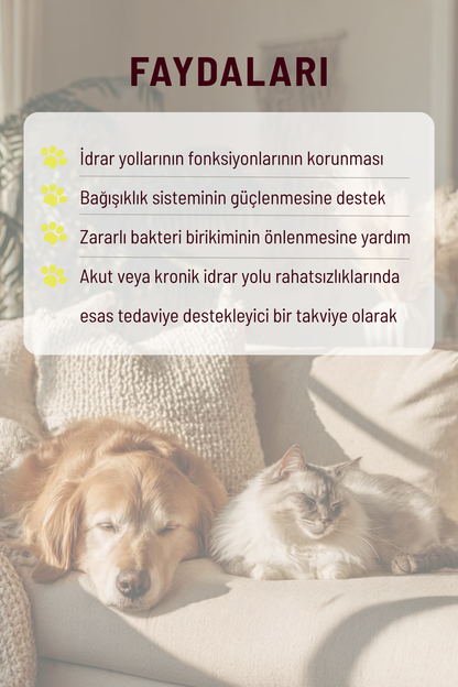 Easy Pee - İdrar Yolu ve Böbrek Sağlığı Destekleyici Kediler ve Köpekler İçin Tablet