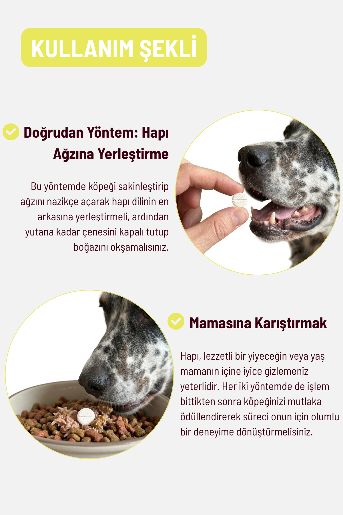 Easy Pee - İdrar Yolu ve Böbrek Sağlığı Destekleyici Kediler ve Köpekler İçin Tablet