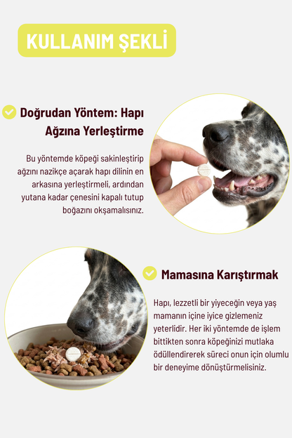 Easy Pee - İdrar Yolu ve Böbrek Sağlığı Destekleyici Kediler ve Köpekler İçin Tablet