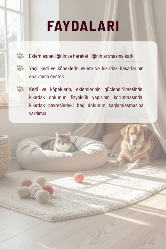 Joint Power - Eklem Sağlığı ve Hareket Destekleyici Köpekler İçin Tablet