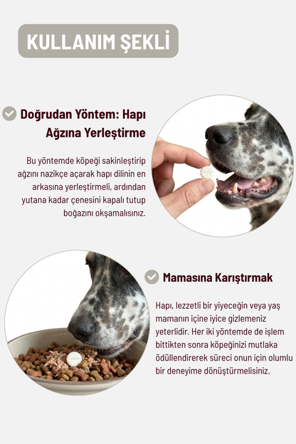 Joint Power - Eklem Sağlığı ve Hareket Destekleyici Köpekler İçin Tablet