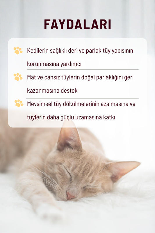Glow Fur - Tüy Dökülmesine Karşı ve Tüy Sağlığı Destekleyici Kediler İçin Damla