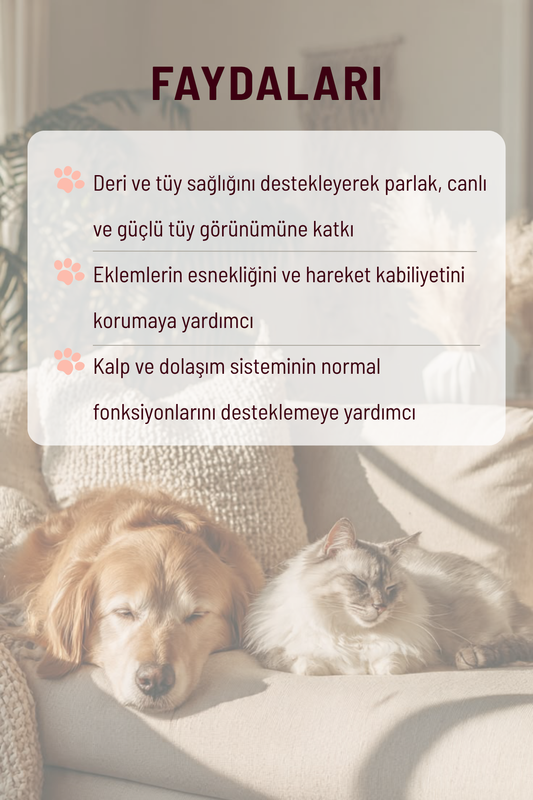 Omega Drop - Tüy Dökülmesine Karşı ve Bağışıklık Destekleyici Kediler ve Köpekler İçin Balık Yağı