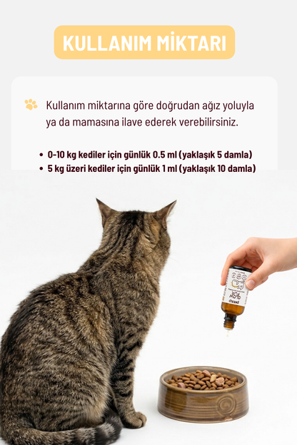 Kediler İçin Tüy Dökülmesi Karşıtı Set | Damla + Malt Macun Tüy Güçlendirici Bakım Seti