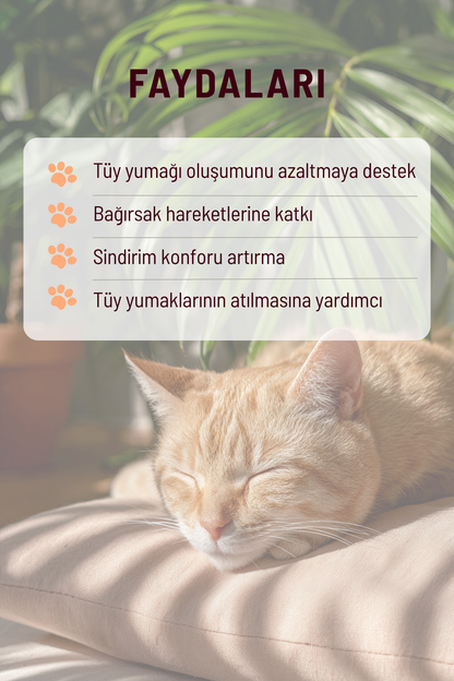 Kediler İçin Tüy Yumağı Karşıtı Set | Malt Macun + Sindirim Destekleyici Bakım