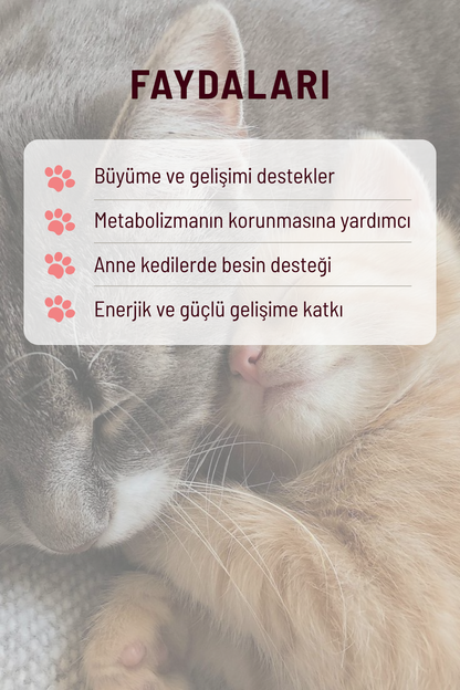 Yavru ve Anne Kediler İçin Multivitamin Set | Bağışıklık ve Gelişim Destekleyici